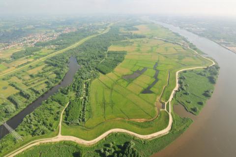 kruibeekse polder